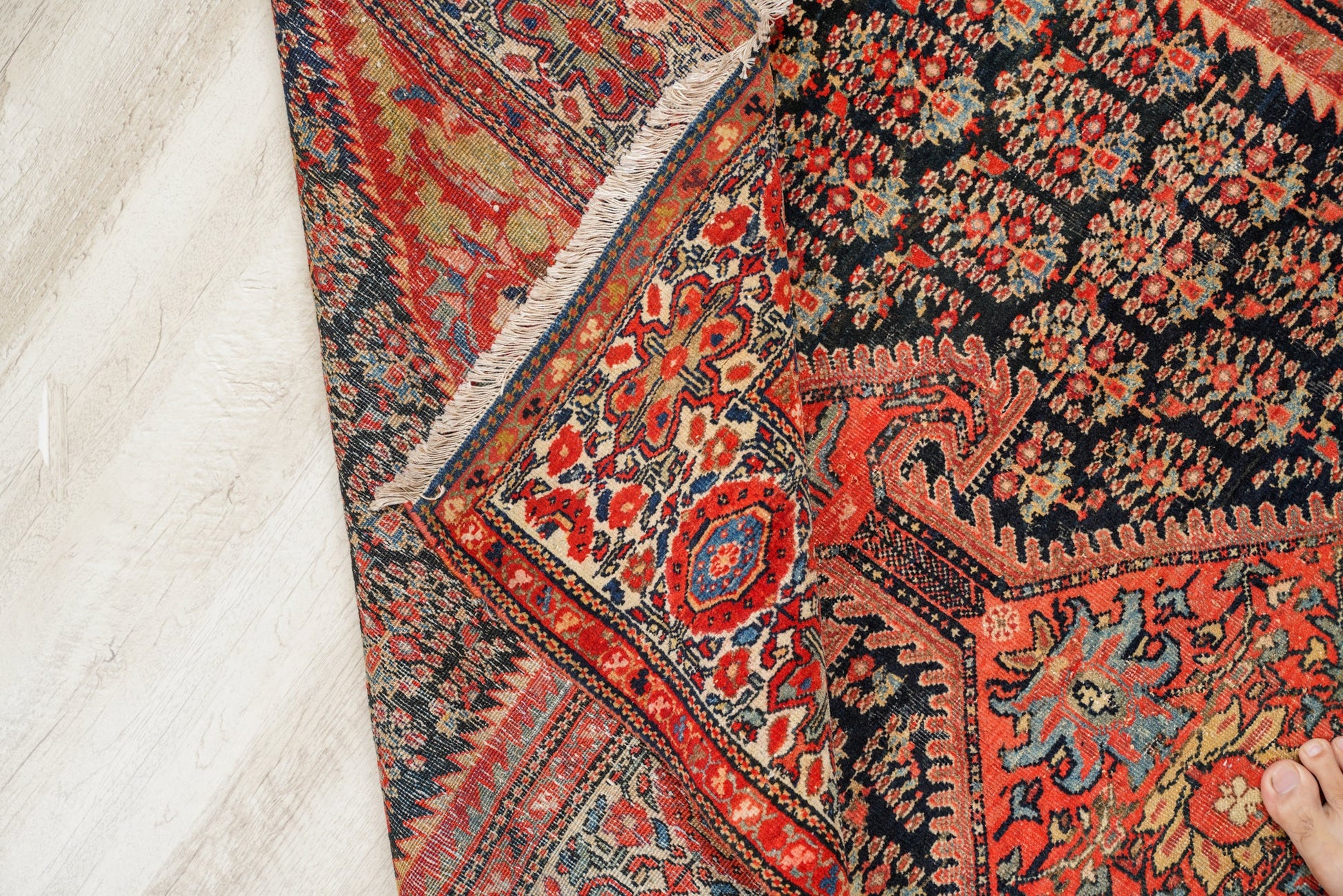 Antique Sarouk Farahan Rug 6'1" x 4'2"